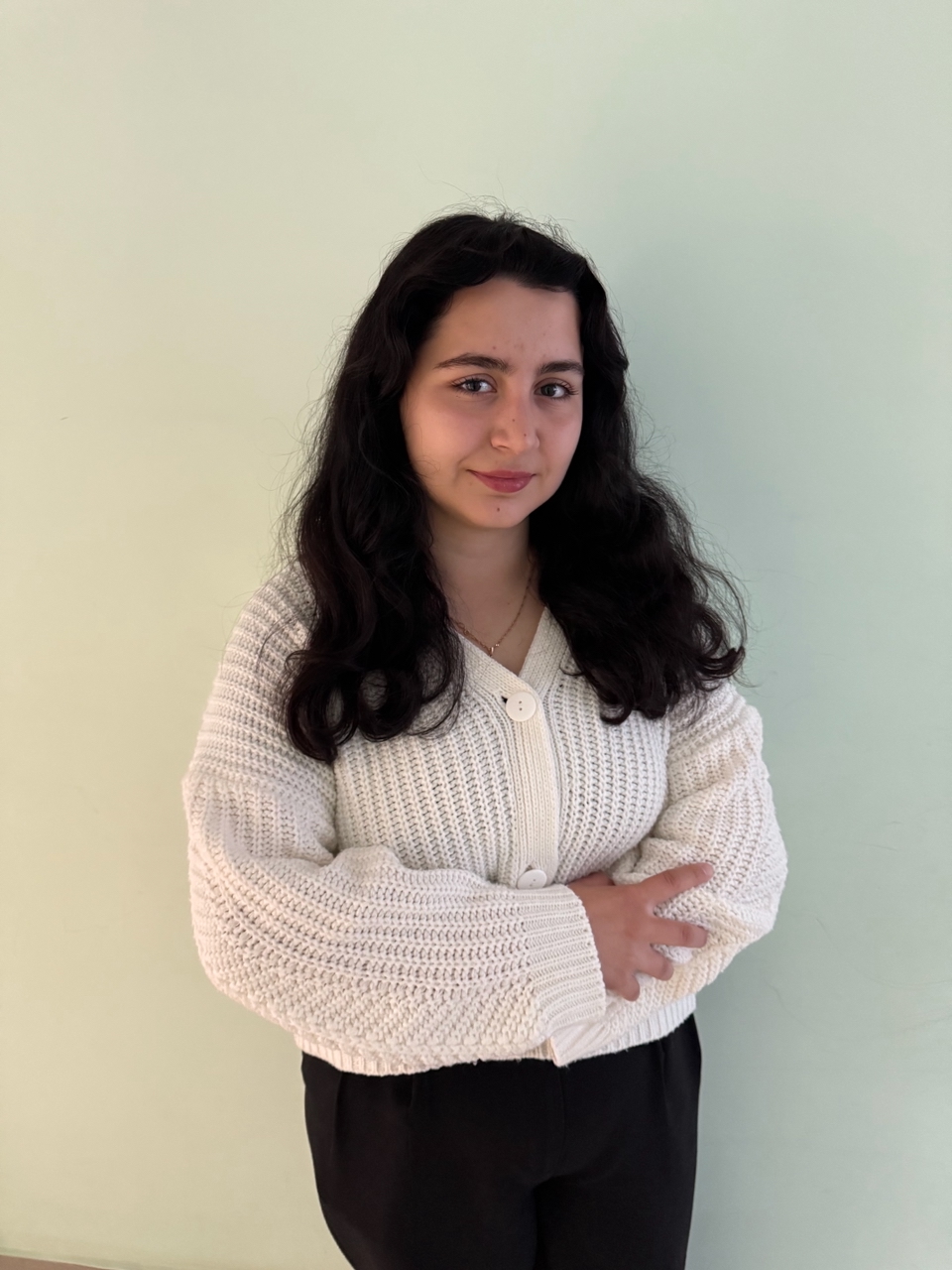 Демурчиева Луиза Нуритдиновна Демурчиева Луиза Нуритдиновна.